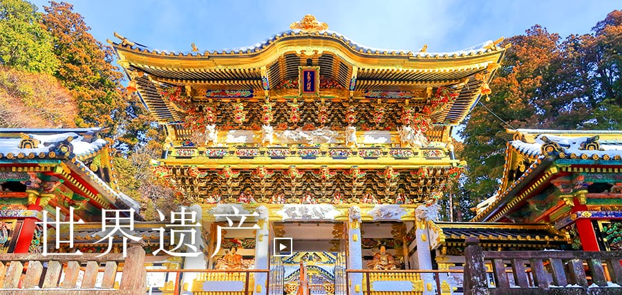 感受日本历史与文化的世界遗产 日光社寺